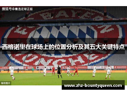 西格诺里在球场上的位置分析及其五大关键特点 西格诺里在球场上的位置分析及其五大关键特点