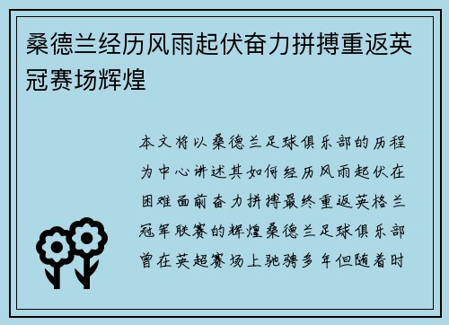 桑德兰经历风雨起伏奋力拼搏重返英冠赛场辉煌 桑德兰经历风雨起伏奋力拼搏重返英冠赛场辉煌