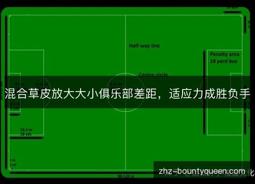 混合草皮放大大小俱乐部差距，适应力成胜负手